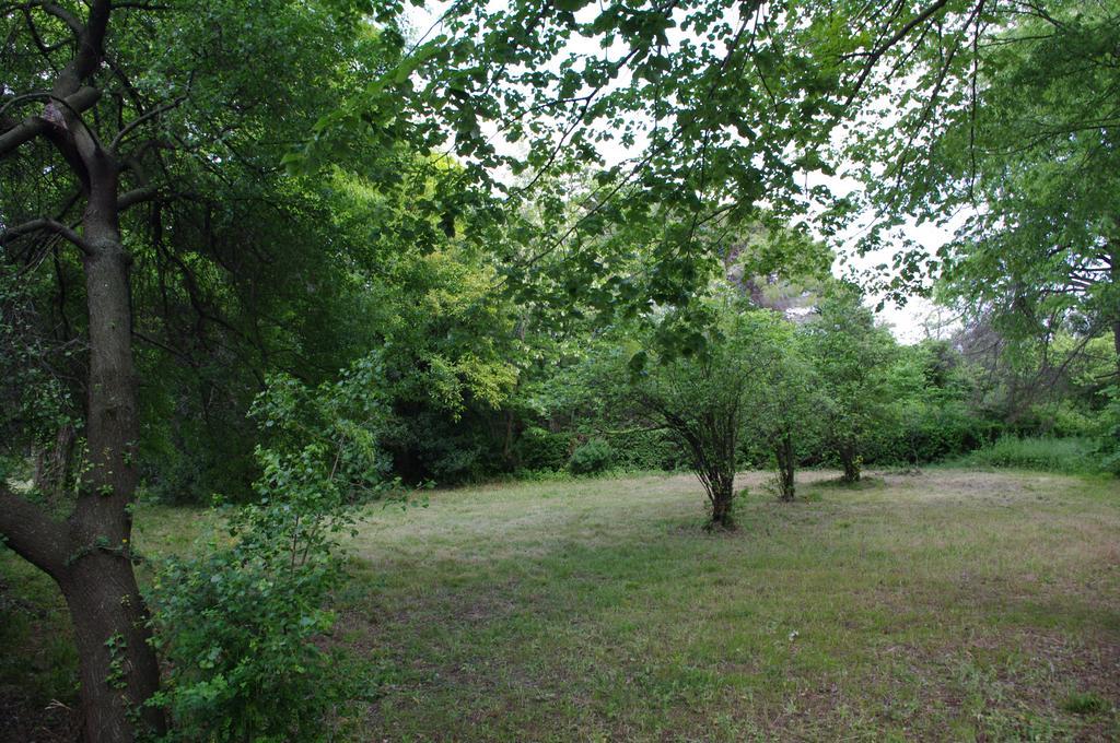 Chateau Le Vergel Authenac Ginestas Cameră foto