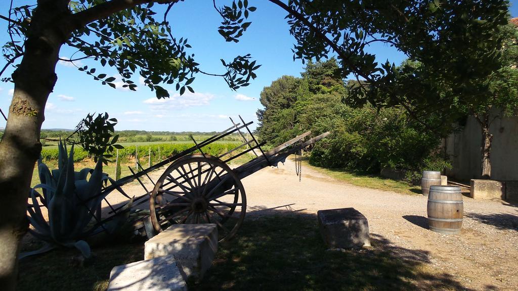 Chateau Le Vergel Authenac Ginestas Cameră foto