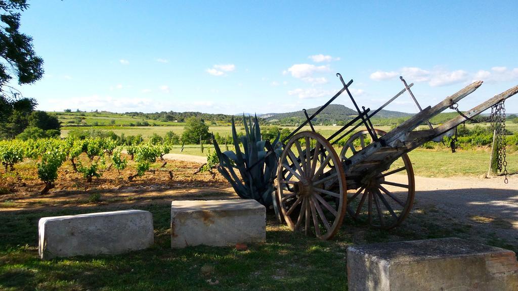 Chateau Le Vergel Authenac Ginestas Cameră foto