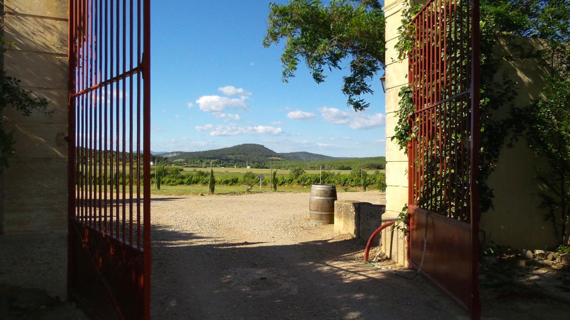 Chateau Le Vergel Authenac Ginestas Cameră foto